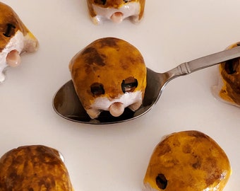 Gähnende Kartoffelfee Wüstenregenfrosch Miniaturen