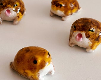 Potato Fairy Desert Rain Frog Miniatures