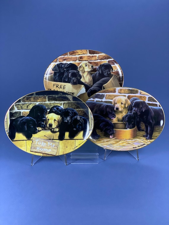 Franklin Mint Nigel Hemming Limited Edition Fine Porcelain