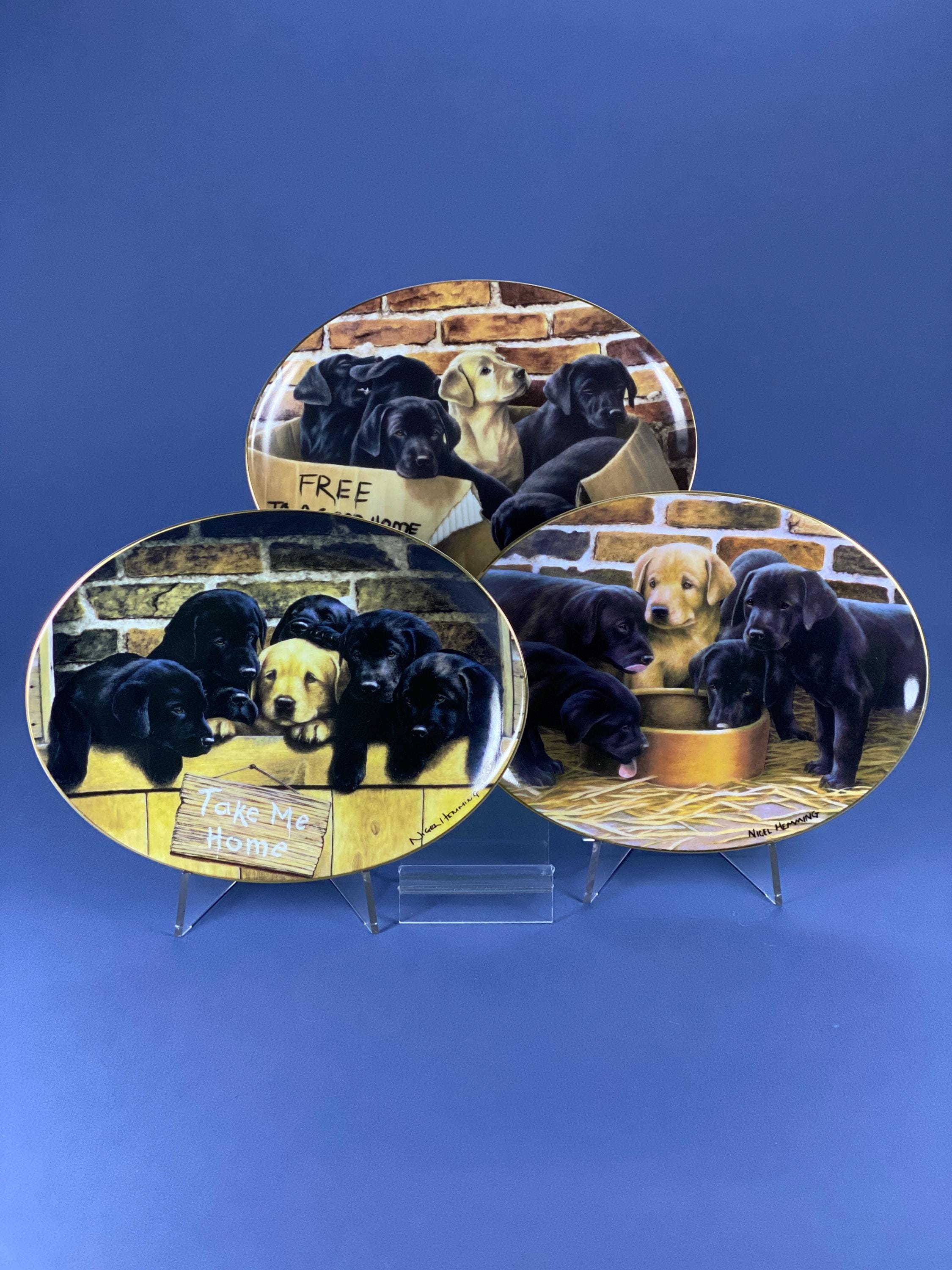 Franklin Mint Nigel Hemming Limited Edition Fine Porcelain