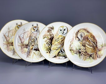 ROYAL GRAFTON Fine Bone England The OWLS Collection Original Porcelain Plates Long-Eared Asio Otus, Tawny Stix Aluco,  Barn Tyto Alba Owl