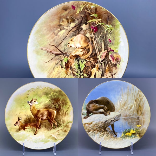 Royal Worcester Porcelain Vintage Decorative Plates Thorburns Mammals Natural History Museum Made in England Compton & Woodhouse Limited