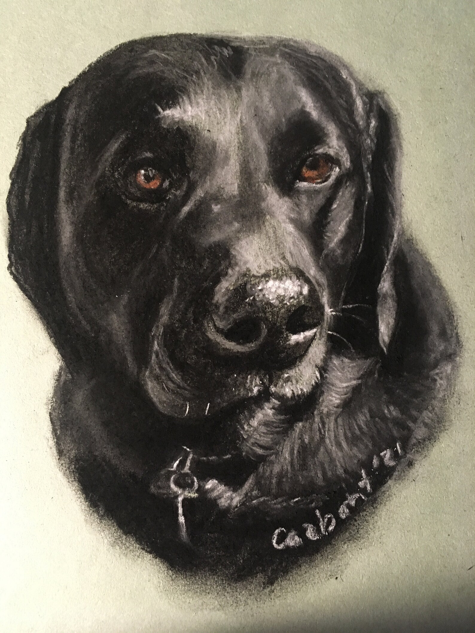 Hand Drawn Charcoal Pet Portraits From Your Photos Etsy