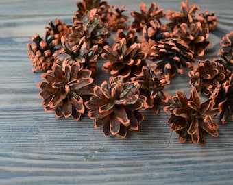 50 Color Tipped Pinecones, Rustic Home Decor, Craft Ornaments