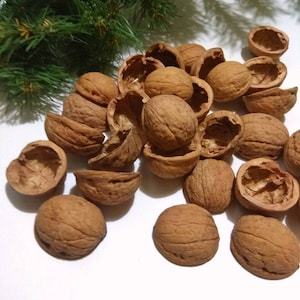 walnut shells halves, natural crafts supply for christmas wreaths, ornaments, scrapbooking, florist&#39;s supply, rustic decor