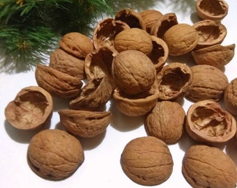 mitades de cáscaras de nuez, suministro de artesanía natural para coronas navideñas, adornos, scrapbooking, suministro de floristería, decoración rústica