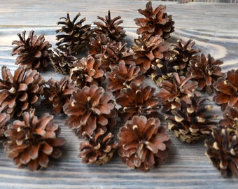 Natural pinecones for crafts 50pcs, real pinecones, christmas decorations, organic pinecones, forest supplies, rustic decor woodland wedding