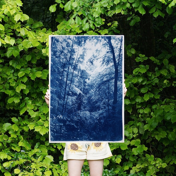 Soft Light in the Woods, Handmade Cyanotype Print on Watercolor Paper, Forest Landscape in Blue Tones, Vertical Zen Scene, Calming, 2021