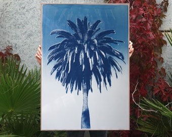 Marrakesh Majorelle Palm / 100x70cm / Cyanotype Print on Watercolor Paper / Limited Edition