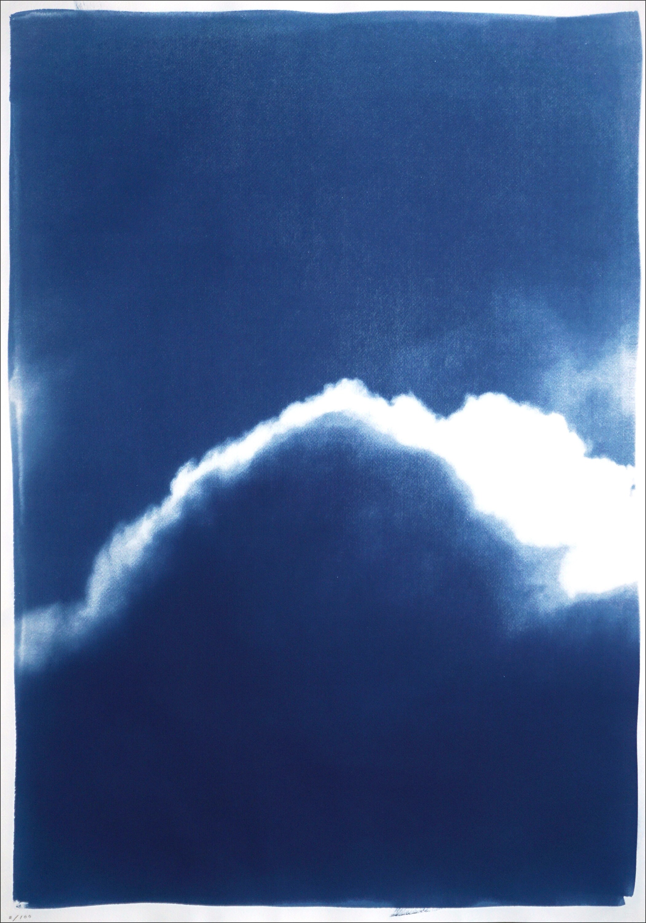 Dreamland - 8x10 Cyanotype on Watercolor Paper Limited Edition of 10 —  julius schlosburg