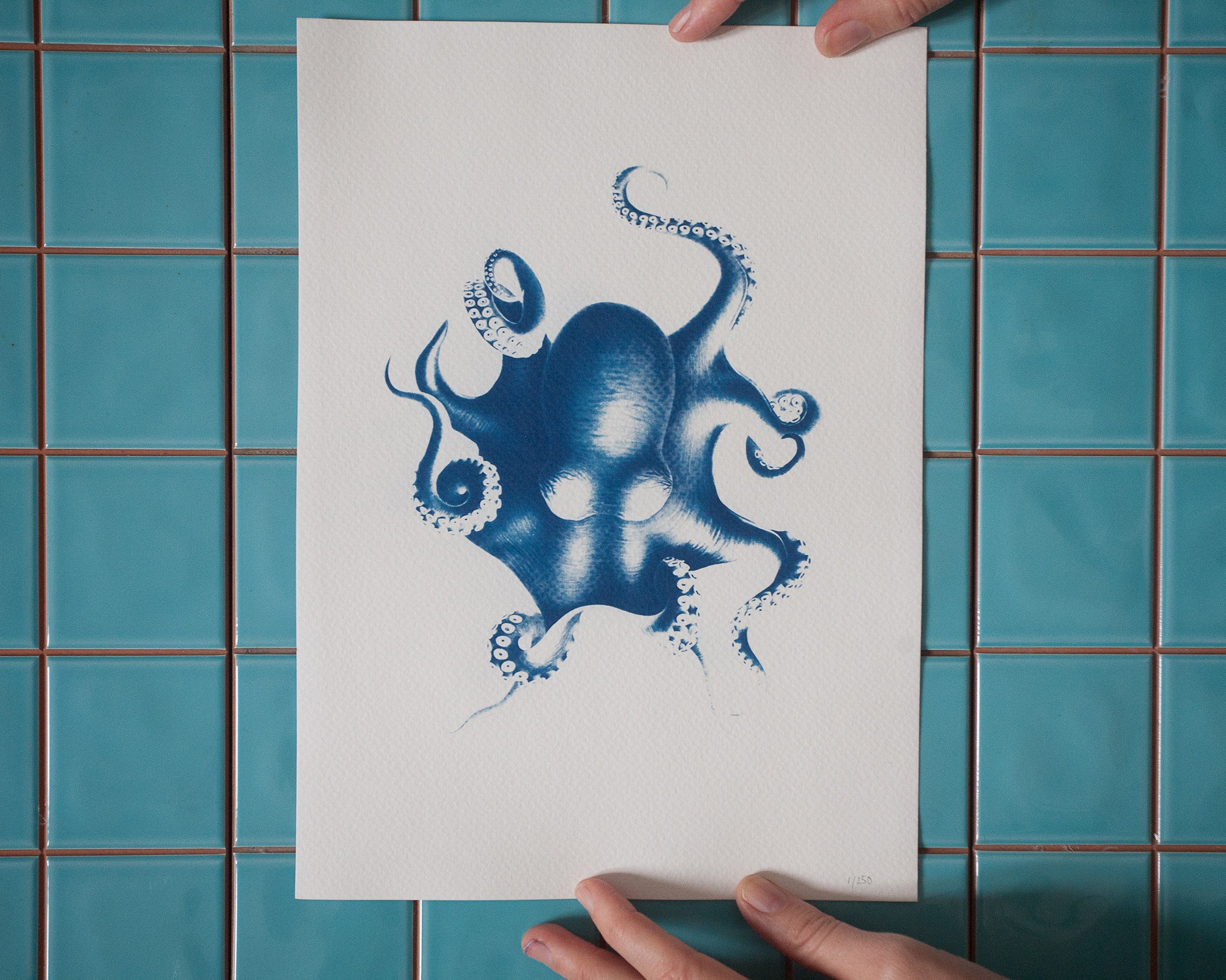 Octopus Sea Life Watercolor Illustrations Print Coastal Wall Art Poster Decor 4
