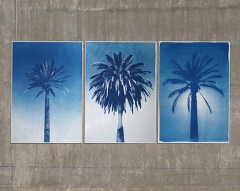 Botanical Triptych, Desert Palm Trio, Classic Blue Prints, Handmade Cyanotype on Watercolor Paper, Tropical Art, Colossal Palm Tree, Modern