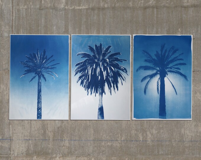 Desert Palm Trio / Handmade Cyanotype Print on Watercolor Paper / Limited Edition of 20