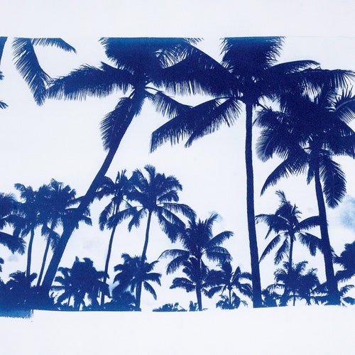 Palm shops Tree Landscape, Hand-Printed Cyanotype, Beach House, Coastal Wall Art, Beach Decor, Palm Leaf, Sunset, Tropical Art, Sun Print 50x70 cm