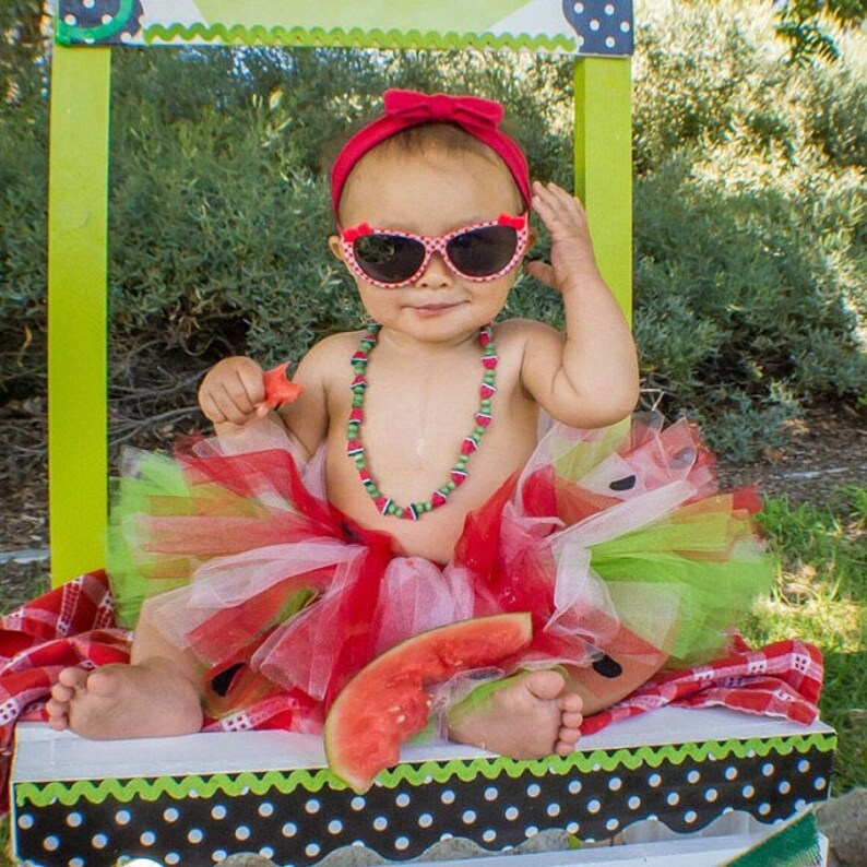 Watermelon Tutu One In A Melon 1st Birthday Cake Smash Etsy