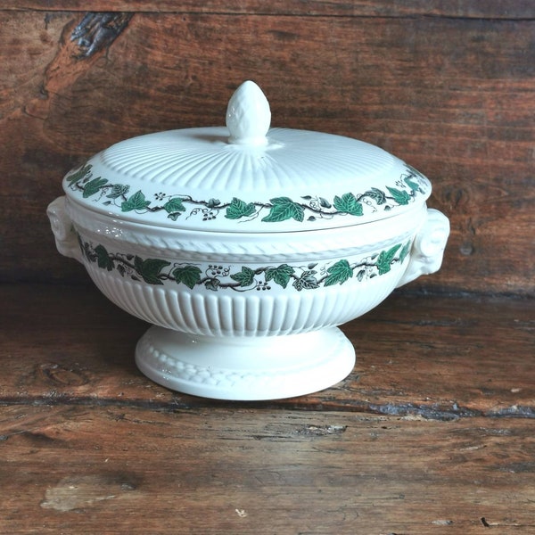 Wedgwood Ivy Pattern Etsy