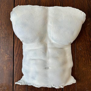 Cast or Sculpture of a Male Torso