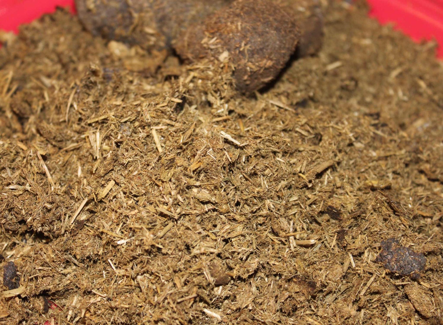 3 Pack Bags of Horse Manure Tea Base Organic Fertilizer Pony Poo Plant