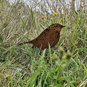 May include: A rusty metal bird silhouette garden stake. The bird is brown and black and is standing in a bed of green grass.