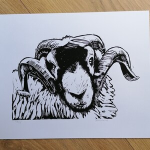 Roy - Greetings Card