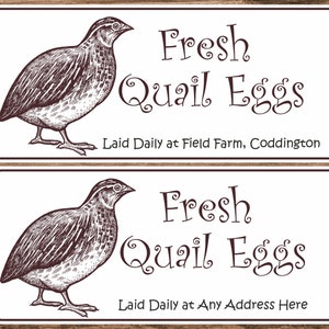 34 Personalised Egg Box Stickers/Labels Fresh Quail Eggs Laid Daily / any name or address printed