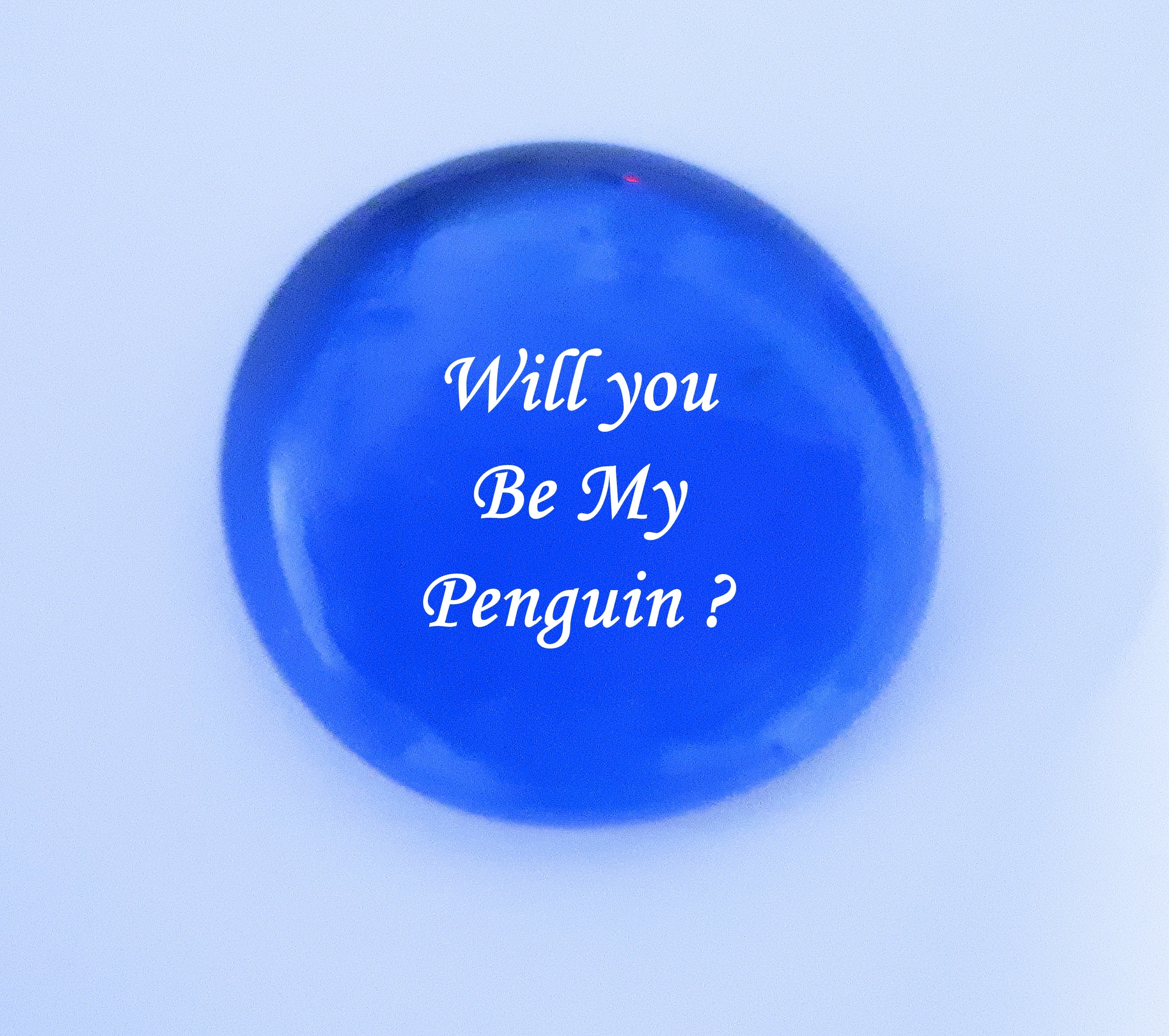 Propose like a Penguin Kissing Penguins themed Proposal gift Etsy