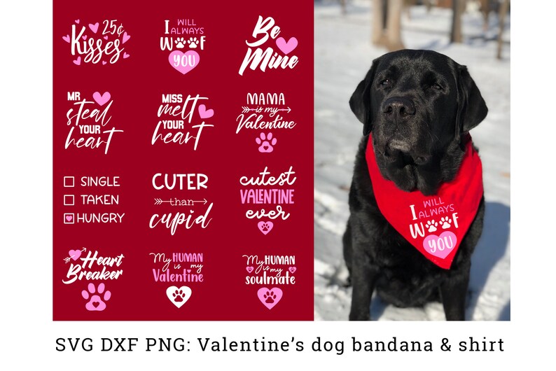 Pet Collar Bandana Reversible Handmade Medium Pattern: I Woof You – Black Background Hearts Pet Collar Bandana Reversible Handmade Medium Pattern: I Woof You – Black Background Hearts
