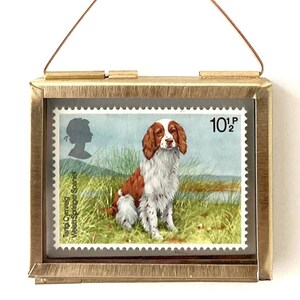 May include: A framed vintage postage stamp featuring a Welsh Springer Spaniel dog. The stamp is in a brass frame with a hanging loop. The stamp reads "10 1/2p" and "Tangi Cymreg Welsh Springer Spaniel".