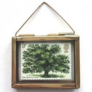 Miniatur gerahmte Vintage 1973 Eiche Briefmarke - Geschenk für Naturliebhaber