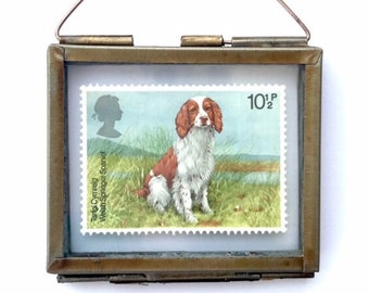 Welsh Springer Spaniel - Springer Spaniel Art - Spaniel Dog - Dog Lover Gift - Dog Wall Art - Dog Gift For Owners - Dog Wall Decor