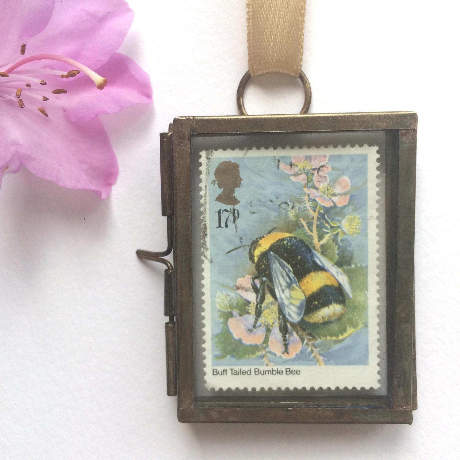 Chicken and Honey Bee Flower Stamp Personalized Rubber Farm 