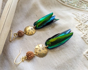 Boucles d'oreilles élytres de scarabée