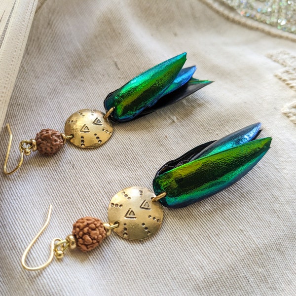 Boucles d'oreilles élytres de scarabée