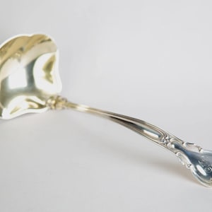 May include: A silver ladle with a decorative handle and a rounded bowl. The ladle has an ornate design on the handle and a shiny, reflective surface. The handle curves gently, and the bowl has a scalloped edge.