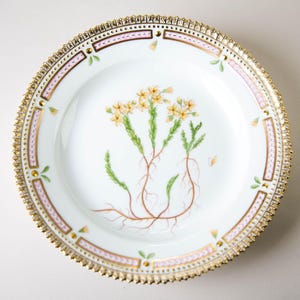 Royal Copenhagen Flora Danica Salad Plate #3573 Sedum Acre L.