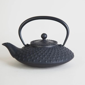 May include: A matte black cast iron teapot featuring a textured hobnail pattern across its rounded body. The teapot includes a matching lid with a small spherical knob, a curved spout, and a high, arched handle that extends over the top.