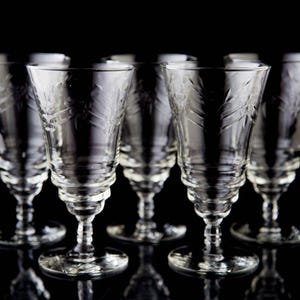 Rock Sharpe Arctic Rose Footed Iced Tea Goblet Glasses Set of 5 Vintage Glass