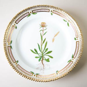 Royal Copenhagen Flora Danica Salad Plate #3573 Erigeron Unifloraus Vintage Porcelain Denmark