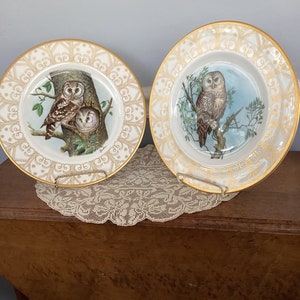 Pair of Boehm Owl Limited Ed. Collector plates