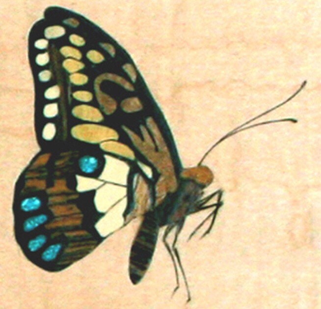 Light Brown Glitter Butterfly Inlay