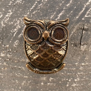 May include: A bronze owl-shaped cabinet knob with a detailed design. The owl has large, round eyes and a textured body.