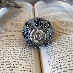 Könnte beinhalten: Grau-weißer Keramik-Schrankknauf mit floralem Design. Der Knauf hat einen silbernen Metallsockel und liegt auf einem offenen Buch. Der Knauf hat einen Durchmesser von etwa 5 cm.