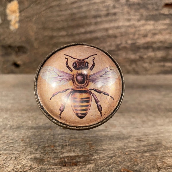 Honey Bee Glass Bubble Knob, Drawer Knob, Dresser Knob, Pull, Cabinet Pull, Fish Eye Glass Knob