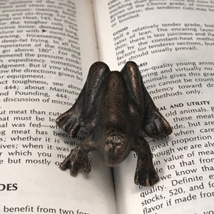 May include: A small, bronze-colored frog figurine with a textured surface. The frog is sitting on a book with the text "GOOD Still a relatively tender grade, but ratio of lean. The encasing layer thin; there is less juiciness and fla ing by the constant-heat metho factory for tenderer sections, but ing should usually prevail." visible.