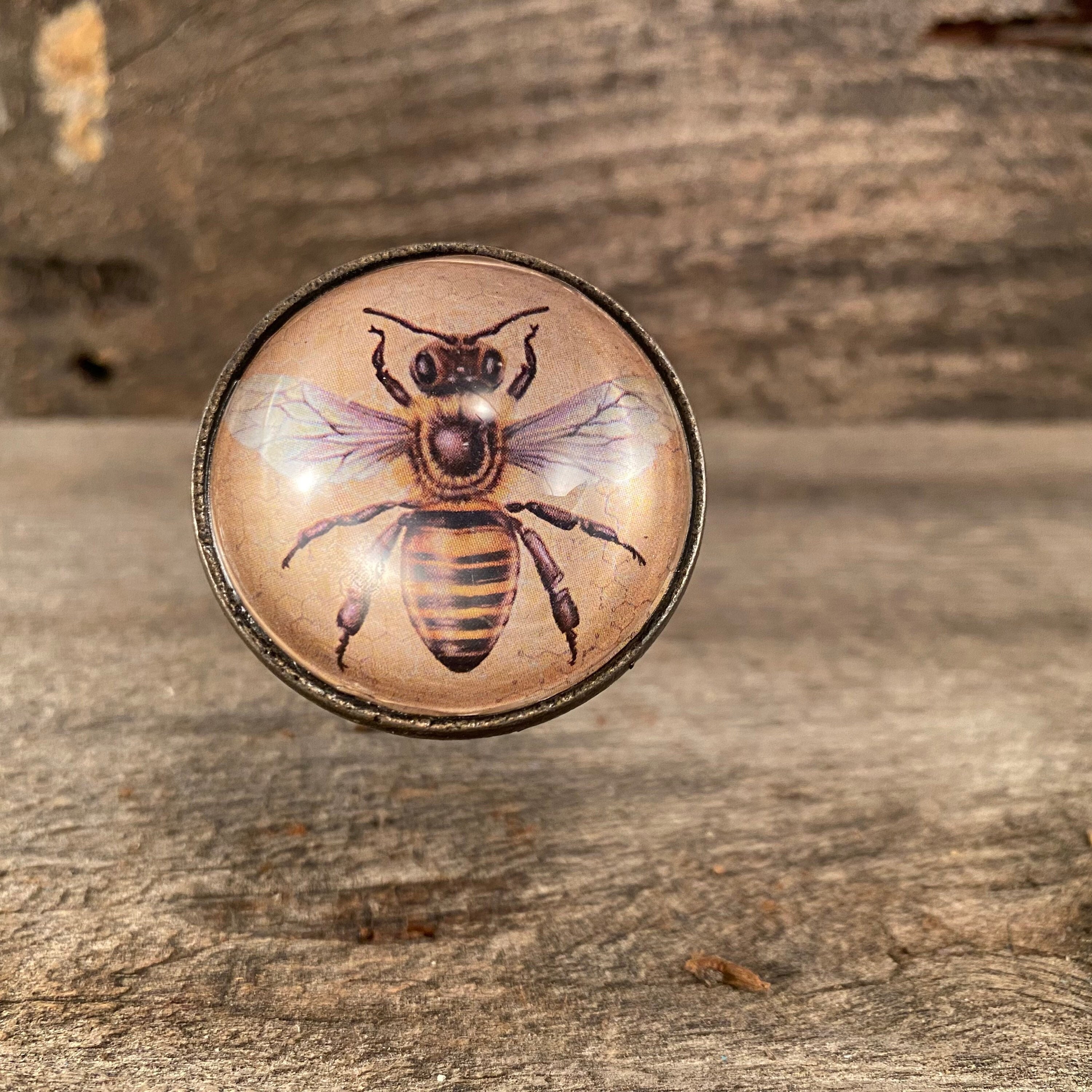 Honey Bee Hardware for Cabinets - Etsy