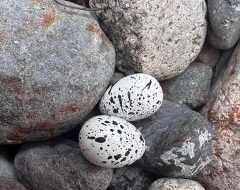 Huevos de pájaro de madera pintados a mano, suministros para manualidades (juego de 2)