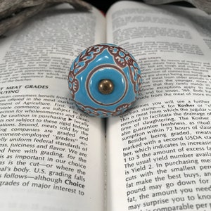 Könnte beinhalten: Ein blauer und brauner Keramik-Knopf mit einem goldenen Metallakzent. Der Knopf liegt auf einem geöffneten Buch mit Text über Fleischsorten.