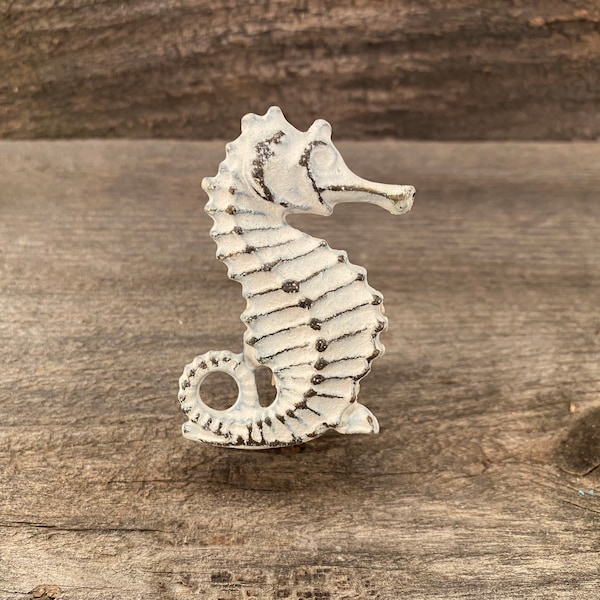 Seahorse Knobs Etsy