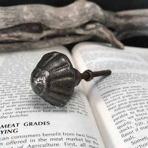 Peut inclure: Un gros plan d'un bouton de cabinet en métal noir avec un motif cannelé. Le bouton est fixé à une vis en métal argenté. Le bouton est posé sur un livre avec le texte "MEAT GRADES" visible.