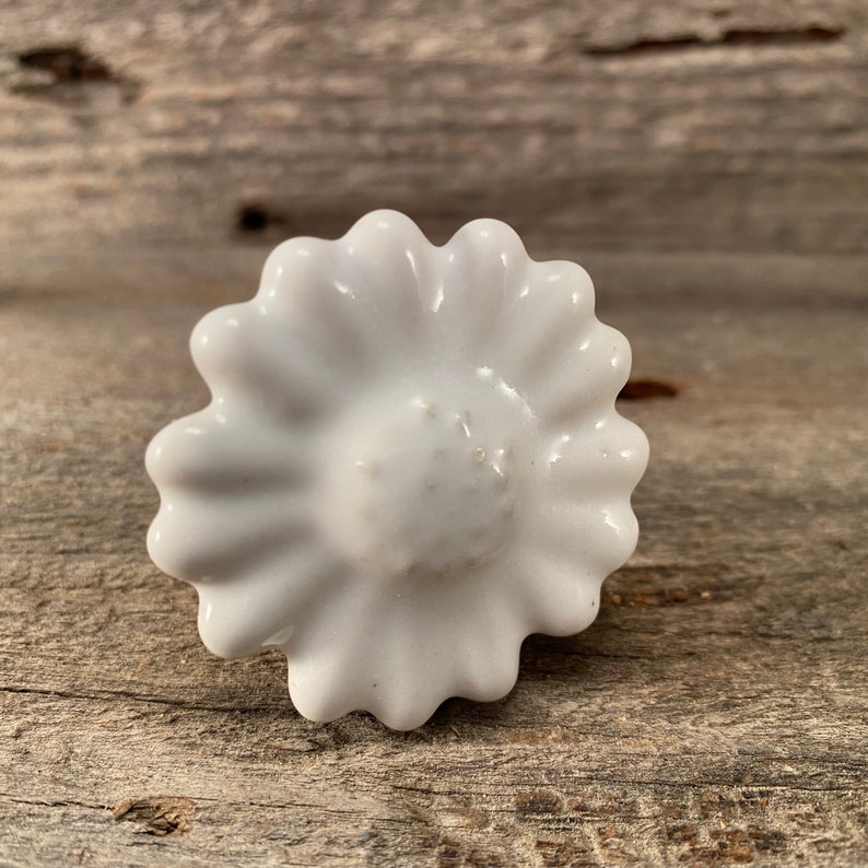 Pu&ograve; includere: Pomello per armadio a forma di margherita in ceramica bianca. Il pomello ha una finitura lucida e un centro strutturato e dettagliato. I petali della margherita sono uniformemente distanziati.